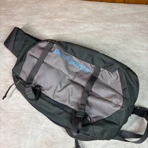 Purple and Gray Patagonia